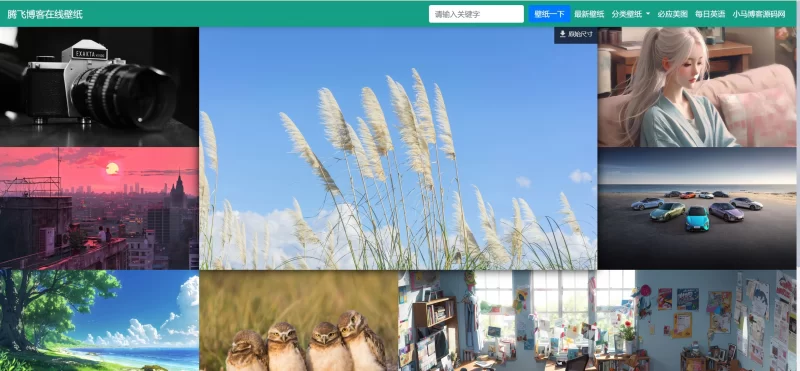 自动采集电脑壁纸系统源码v2.0 - 自适应双端 - 腾飞博客