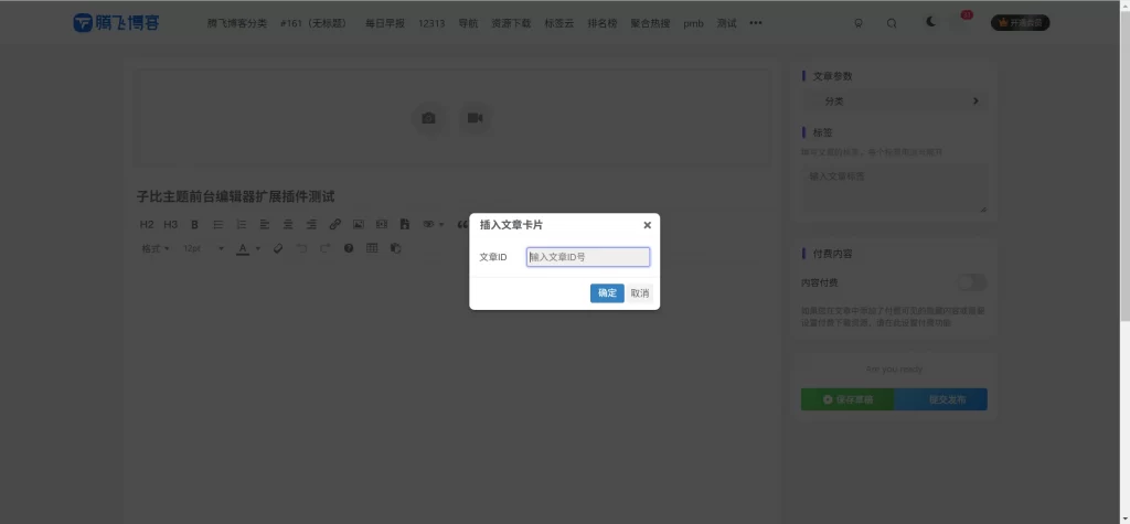 图片[4] - 子比主题插件 - 前台编辑器扩展插件