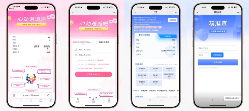 图片[1] - 婚姻案件案底查询系统网站源码 - 无授权版
