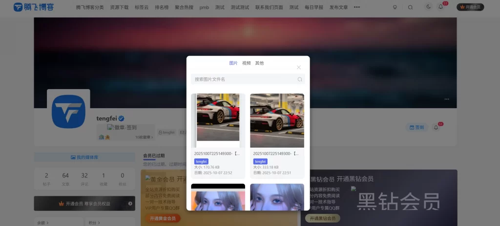 子比主题 – 用户媒体管理插件