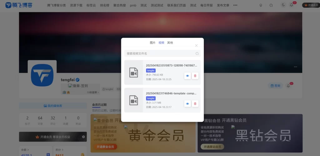 图片[2] - 子比主题 - 用户媒体管理插件