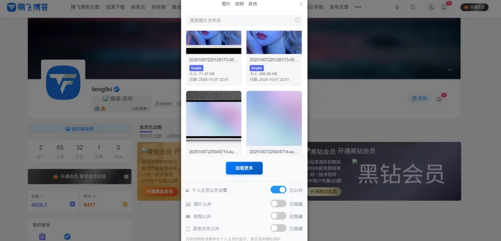 图片[1] - 子比主题 - 用户媒体管理插件（第二款）