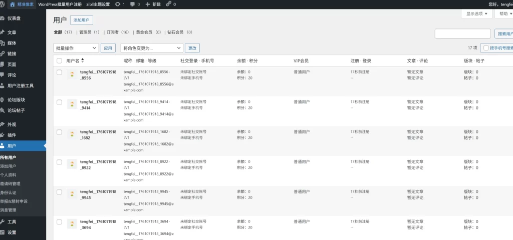 图片[2] - WordPress插件 - 批量用户注册插件