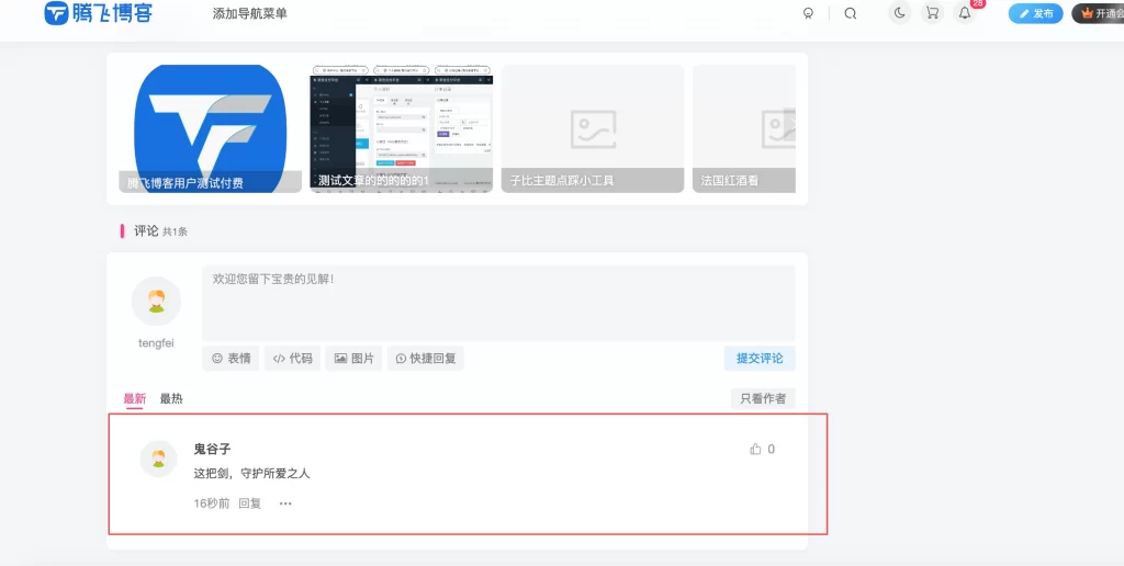 WordPress插件 – 自动评论插件_支持按板块评论