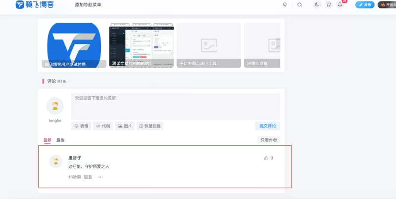 WordPress插件 - 自动评论插件_支持按板块评论 - 腾飞博客