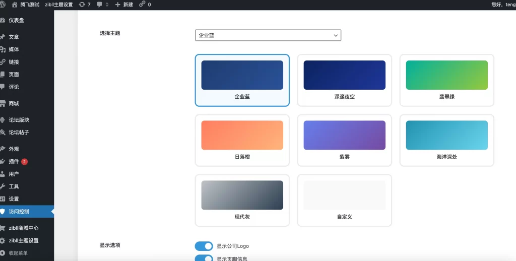 图片[2] - WordPress插件 - 高级前端访问控制插件
