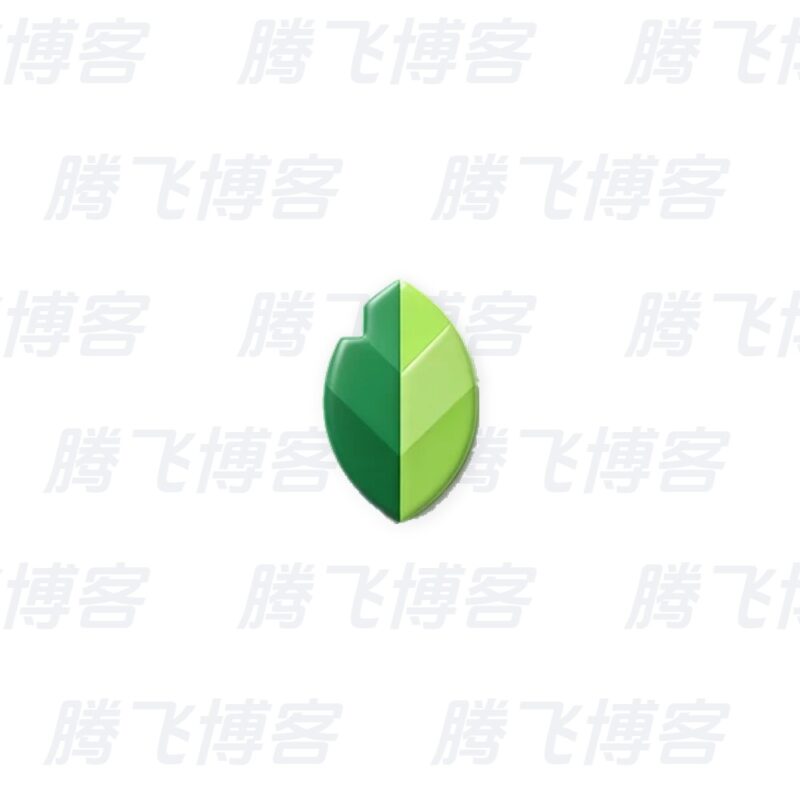 Snapseed 专业照片编辑 v4.1.4.966755460 谷歌版 - 腾飞博客