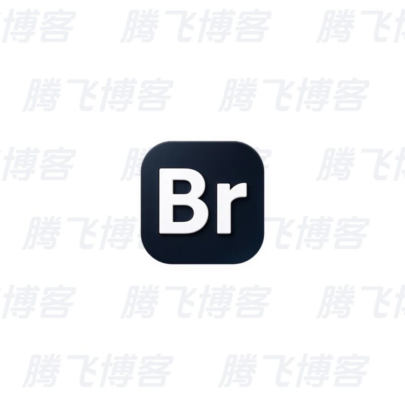 Adobe Bridge 2026 (16.0.8.10.00) 特别版 - 腾飞博客